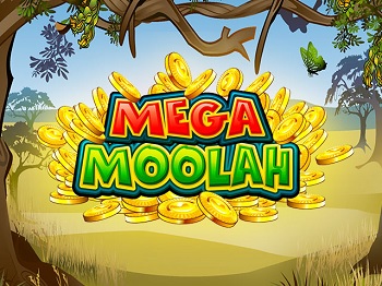 Огромный выигрыш на слоте Mega Moolah