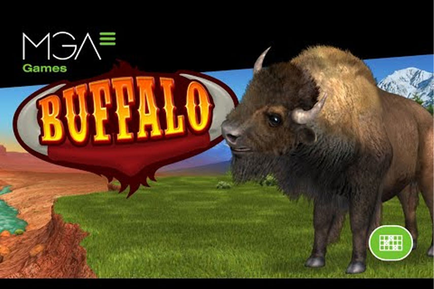 Buffalo Bingo – долгожданная новинка от MGA Games