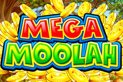 Еще один миллионер на слоте Mega Moolah