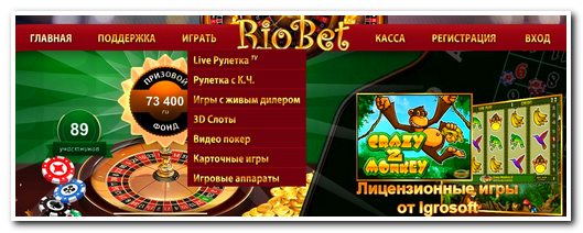 Обзор онлайн-казино Riobet